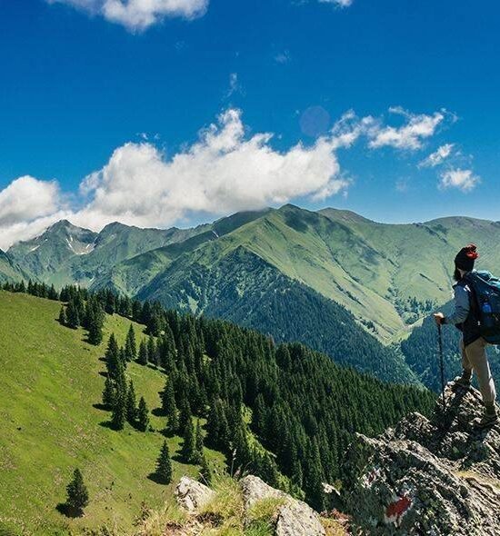 Mykonos and Santorini Tour